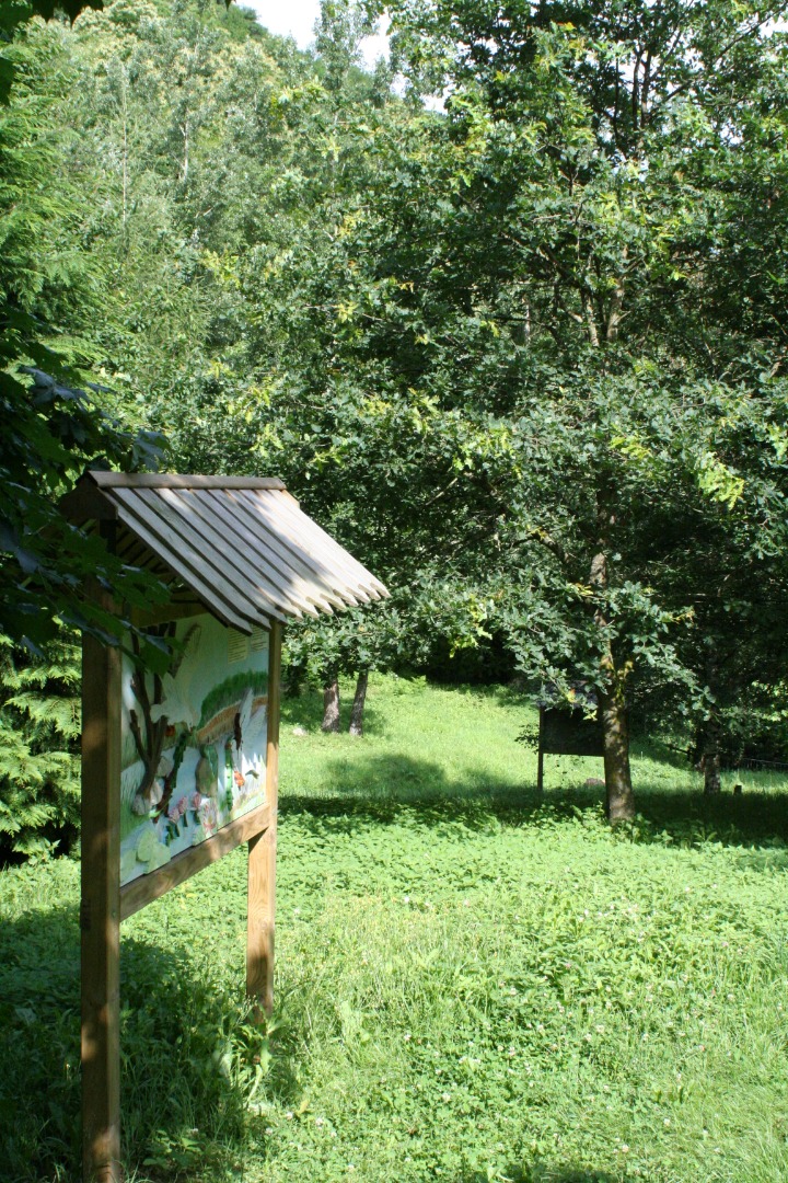 IMG_4240.JPG